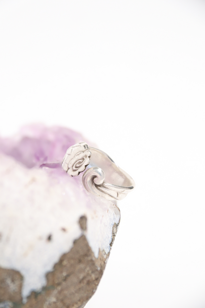 RING02